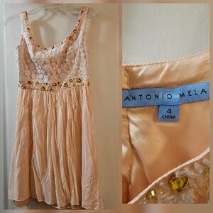 Antonio Melani Blush Sleeveless Dress with Gold Accents